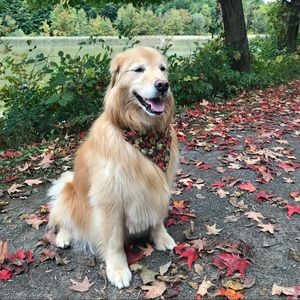 Meet your Posher, Paul